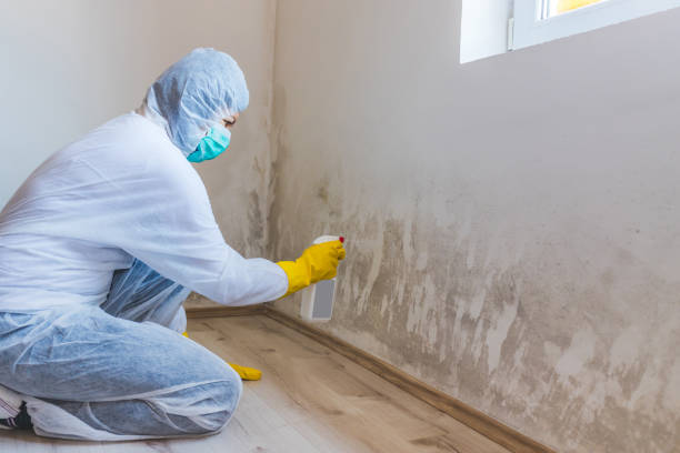 Mold inspector in Simpson performing thermal imaging