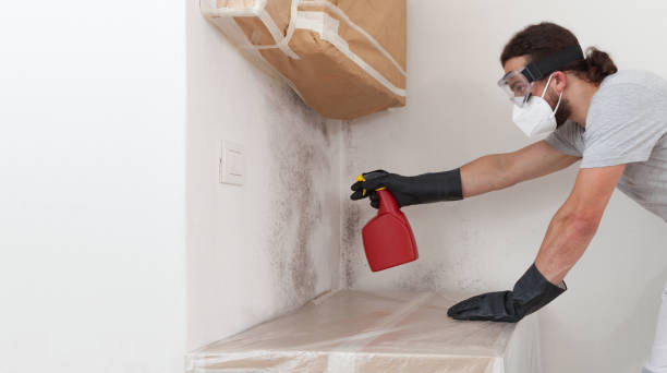 Basement Mold Remediation treatment on basement walls in Simpson