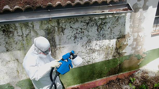 Mold Remediation service in Simpson, Simpson, PA